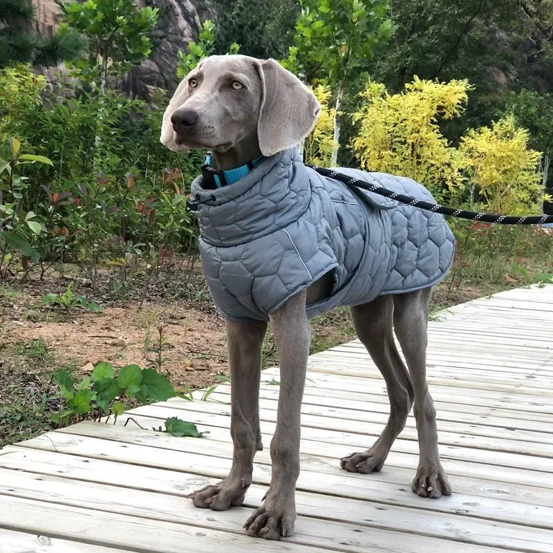Winter Warm Dog Clothes Thick Reflective Snowsuit Pet Dog Down Jacket for Large Breed Dogs Parkas Clothing for Whippet Greyhound