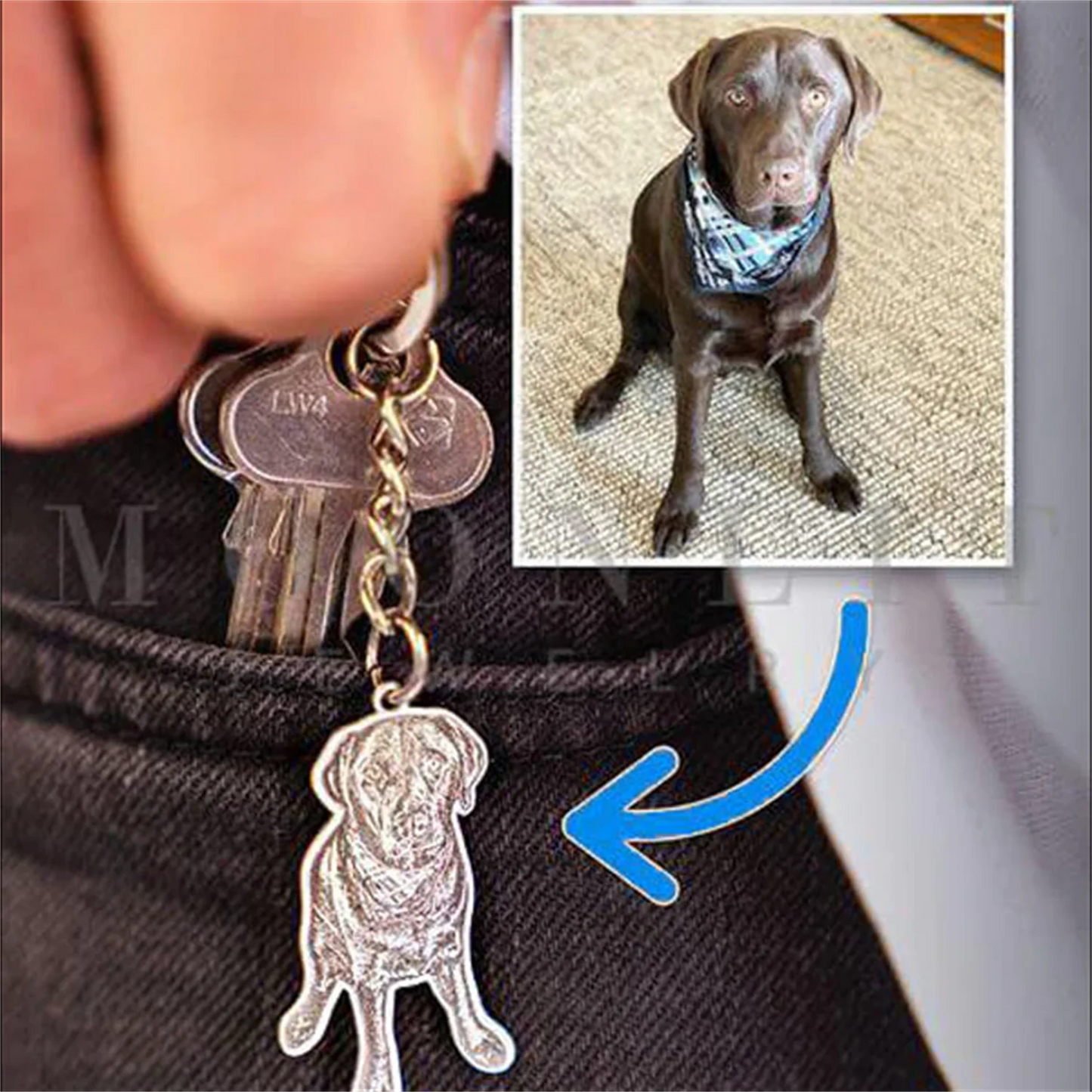 Personalized Car Keychain Custom Dog Cat Picture Pendant Cute Animal Gifts Engraved Images Keyring Jewelry Fathers Day Gifts
