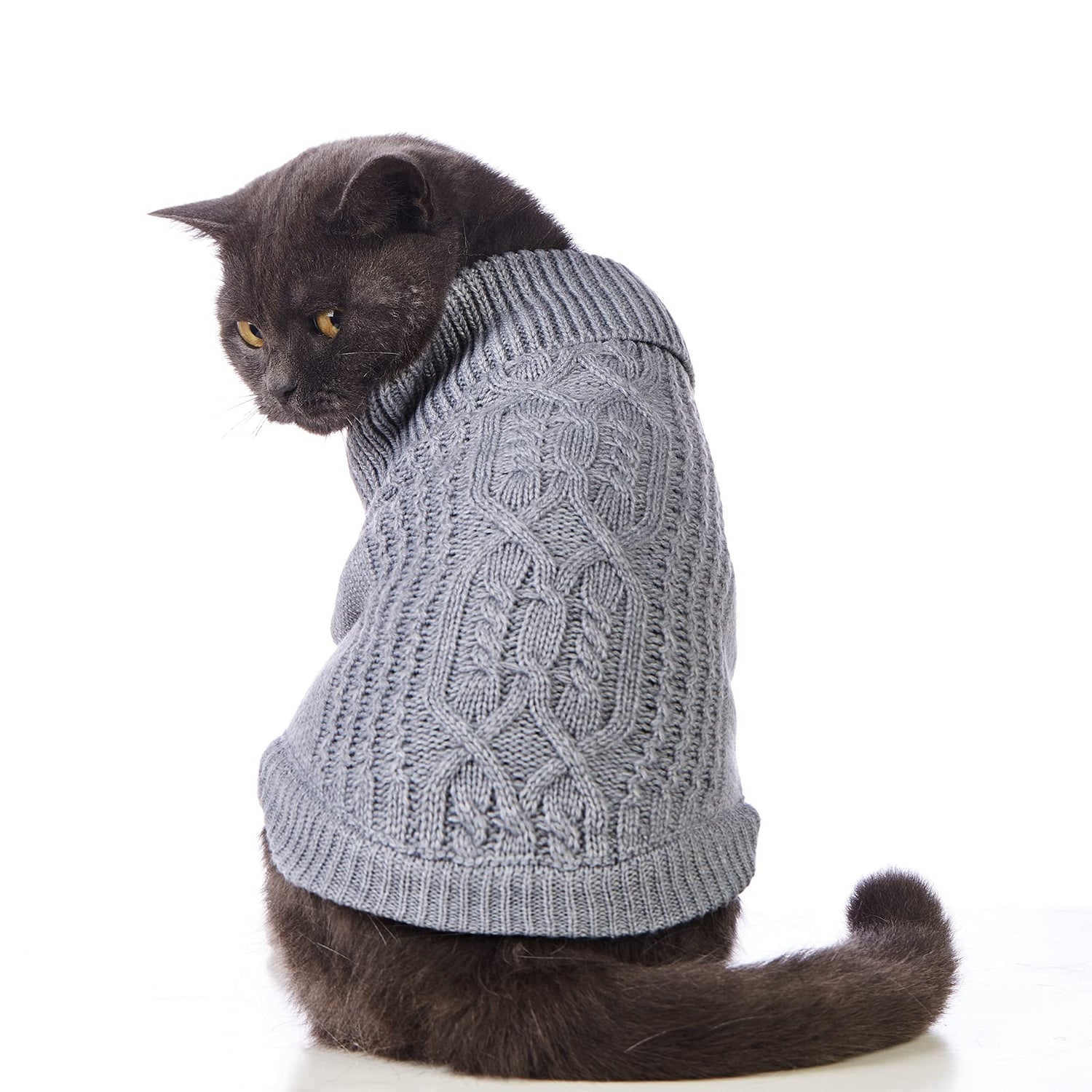 Cat Apparel