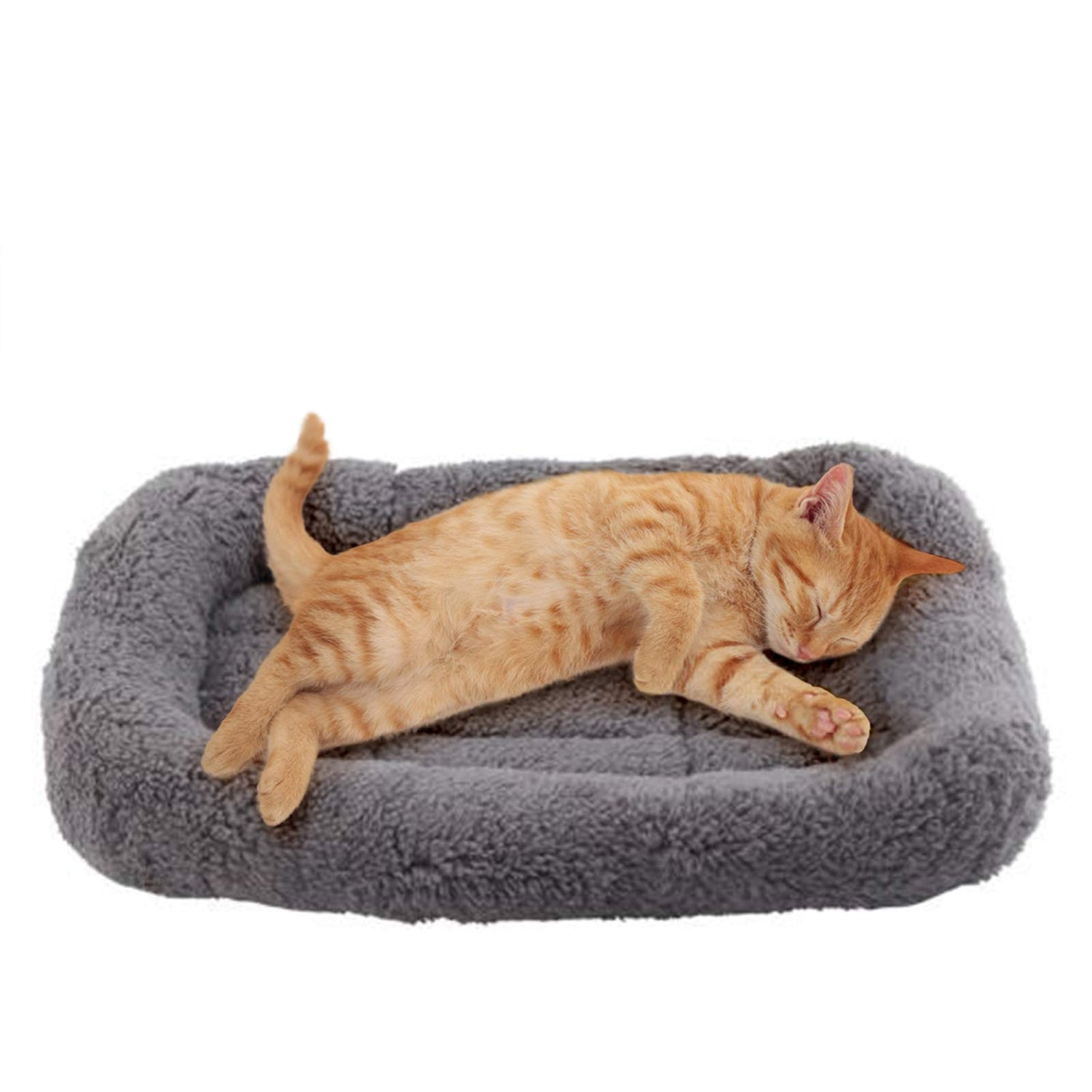 Cat Beds