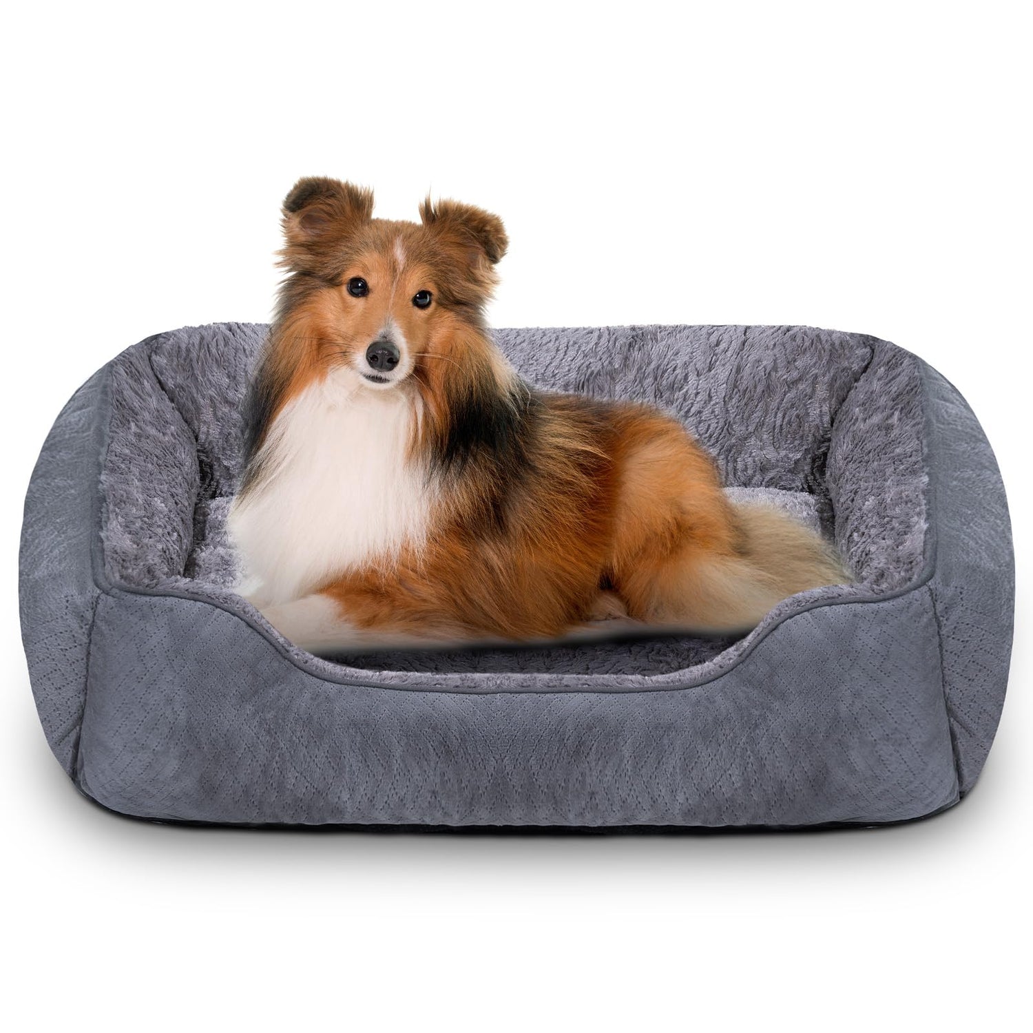 Dog Beds
