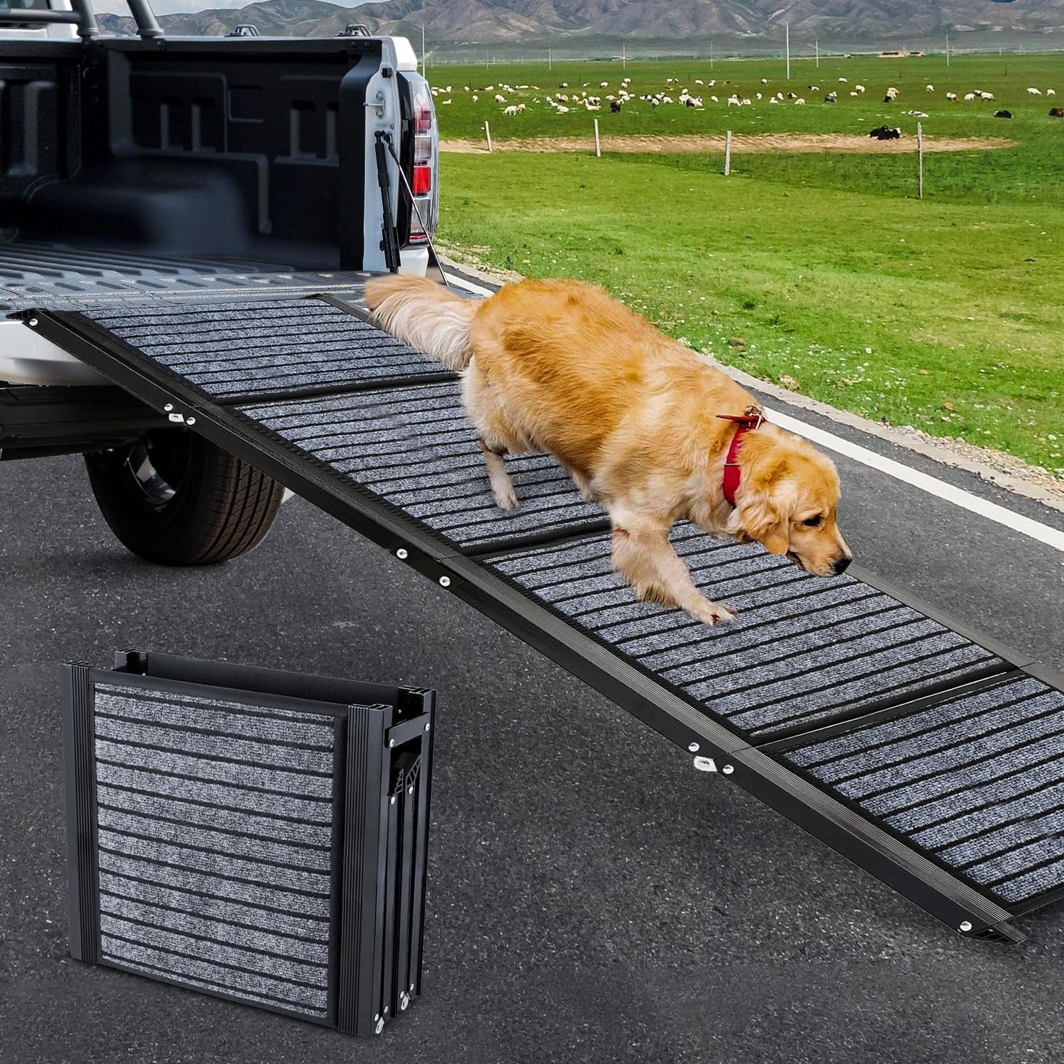Dog Ramps