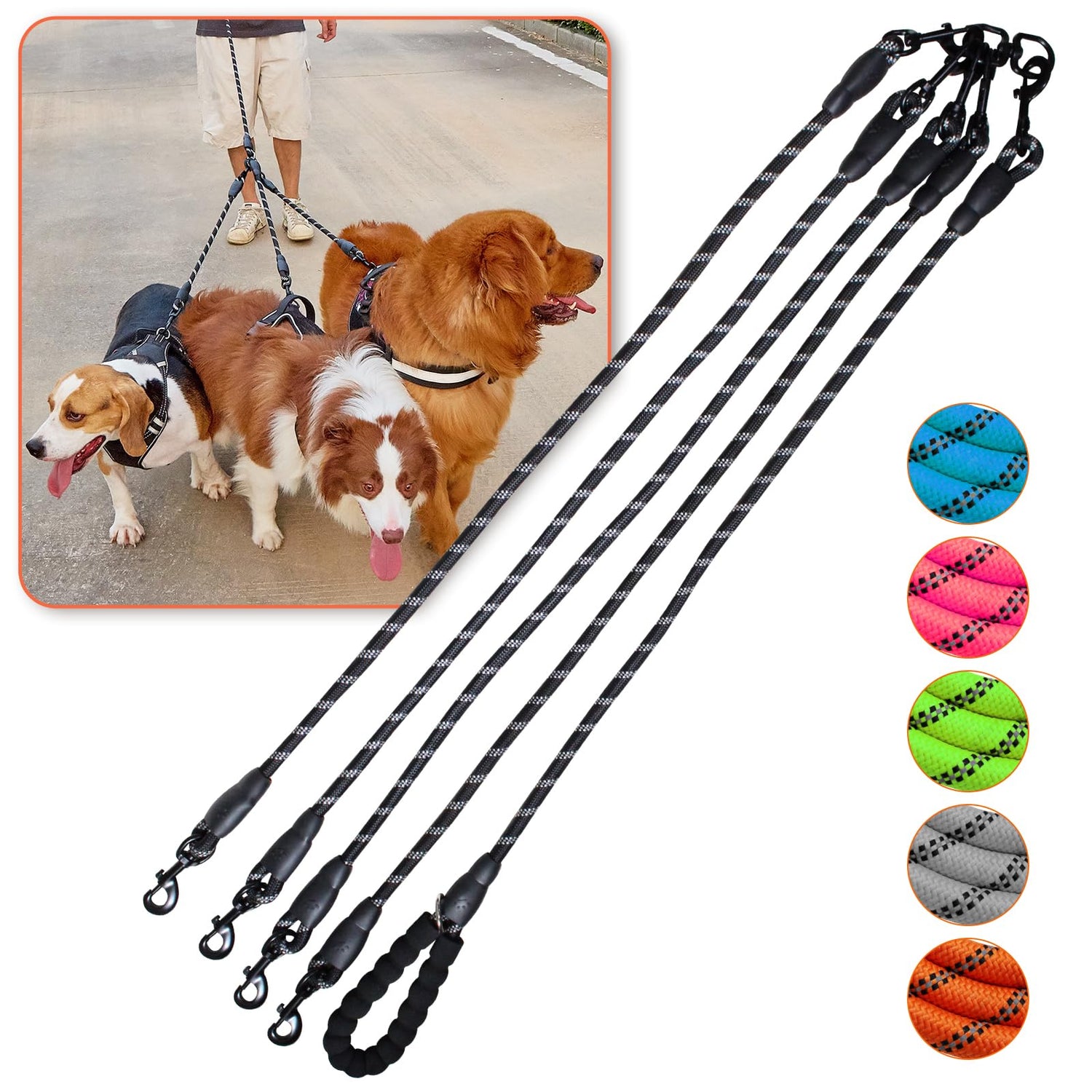Leashes