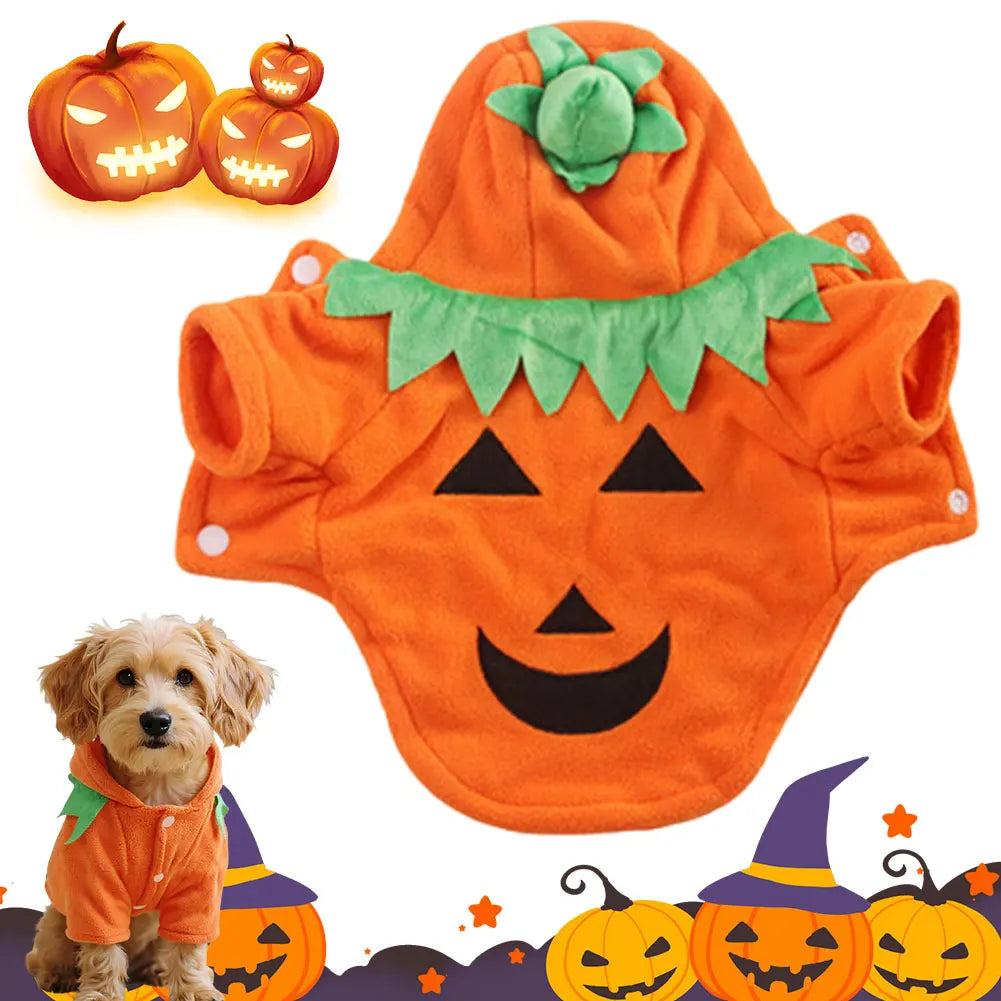 Halloween Cute Warm Pumpkin Dog Costume Breathable Orange Dog Hoodie Pet Festival Costume Clothes for Pet Dog Cat