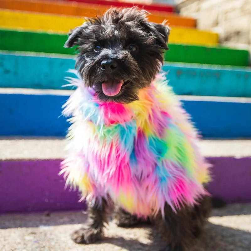 Dog Clothes Rainbow Fur Pullover Sweater French Bulldog Thickened Fashion Pet Coat Dogs Clothes