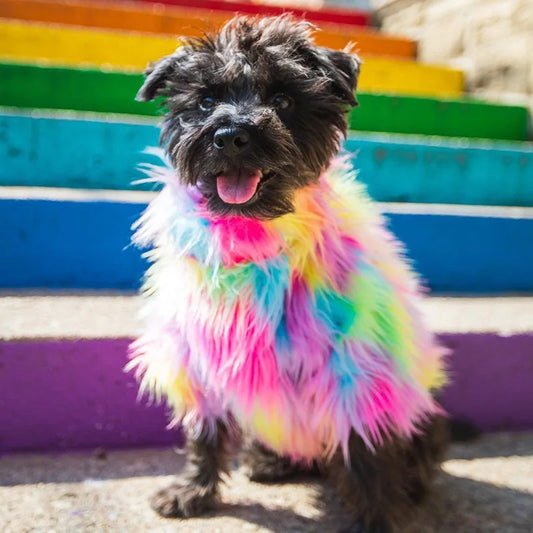 Dog Clothes Rainbow Fur Pullover Sweater French Bulldog Thickened Fashion Pet Coat Dogs Clothes