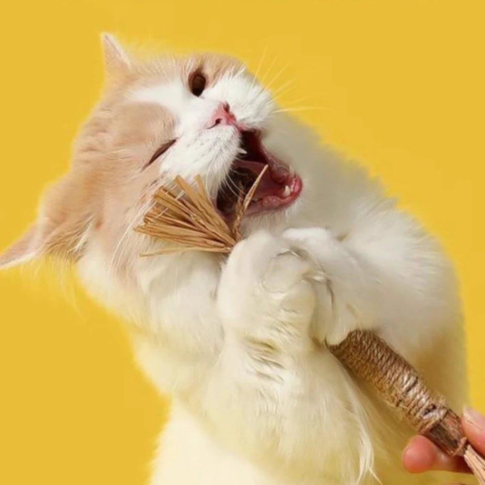 21CM Pet Cat Chew Stick Teaser Training Toy Scrapers for Cats Kitty Teeth Relief Cleaning Grinding Natural Wooden Tool supplies
